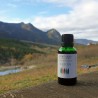 Complexe Digestion - synergie de bourgeons bio direct producteur - Plantago