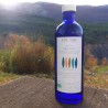 potion immunité