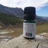 Huile essentielle de thym à thujanol/linalol bio direct producteur - Plantago