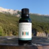 Complexe Régulation hormonale - synergie de bourgeons bio direct producteur - Plantago