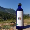 Potion lendemain de fêtes