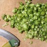 préparation de teinture de houblon frais