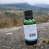 Macérât de jeunes pousses de tamaris bio direct producteur - Plantago