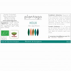 Gemmothérapie de jeunes pousses de Houx