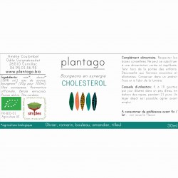 Synergie de gemmothérapie cholesterol