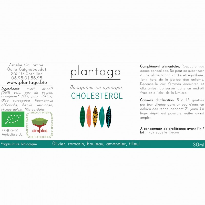 Synergie de gemmothérapie cholesterol