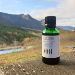 Complexe Sommeil - synergie de bourgeons bio direct producteur - Plantago